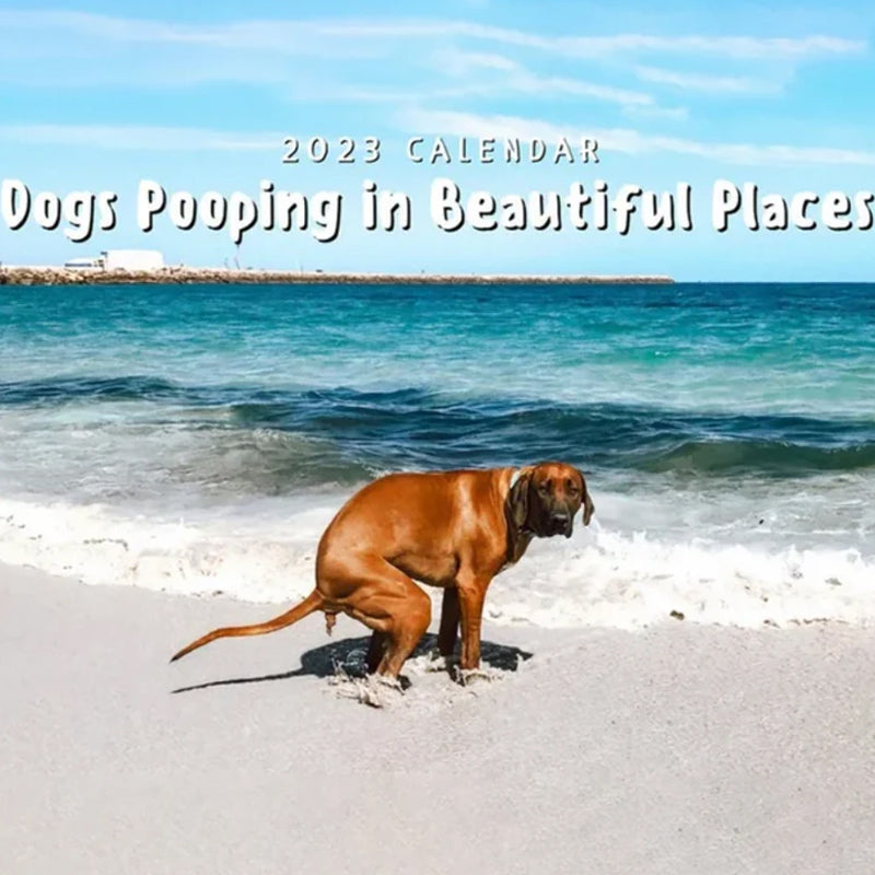 BowLift | Pooping Pooches Dog Calendar