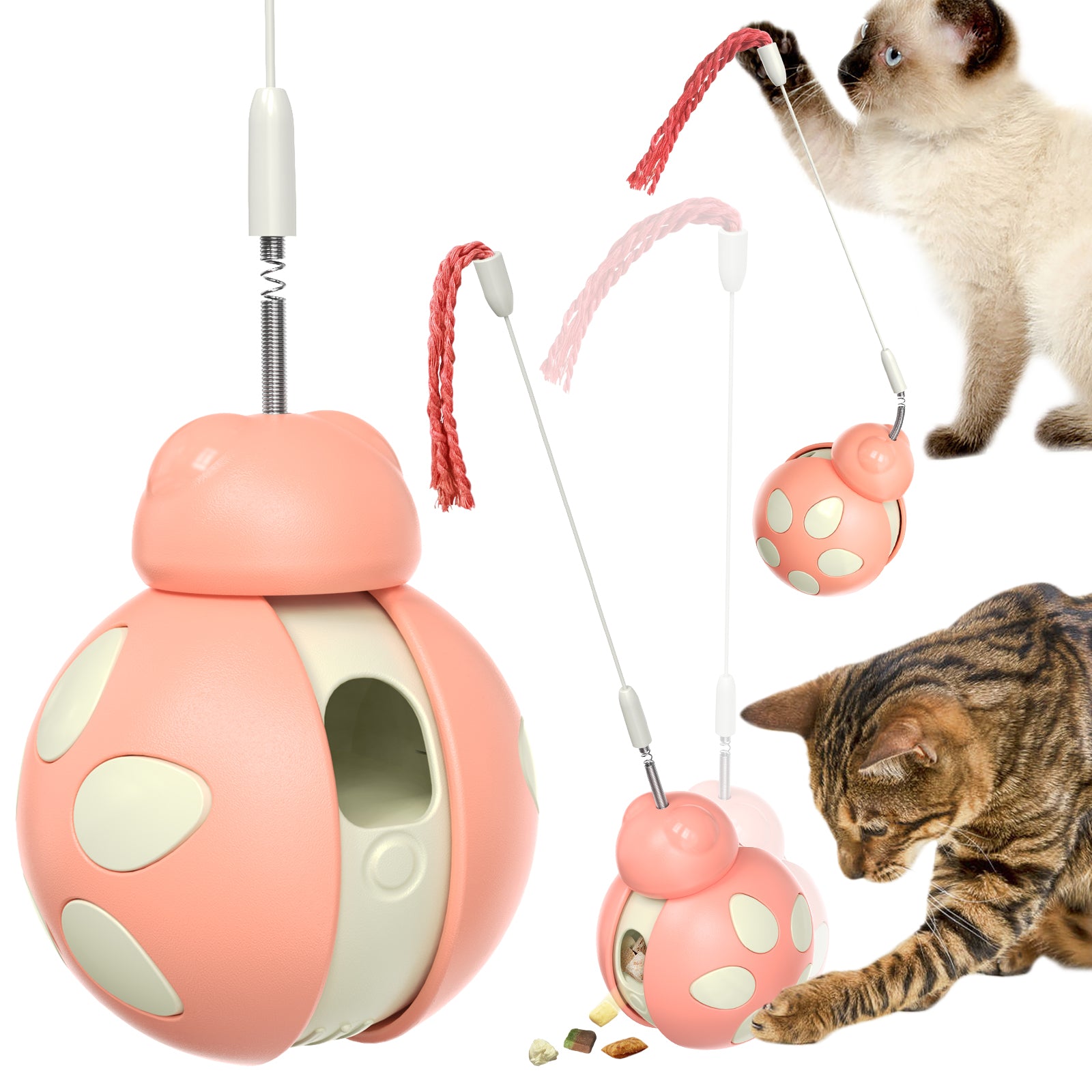 Beetle Wobble Toy – Balance & Interactive Play for Cats