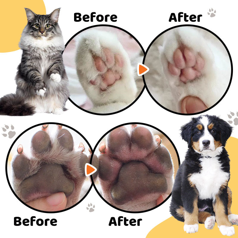 BowLift | FurAway Daily Grooming Ease