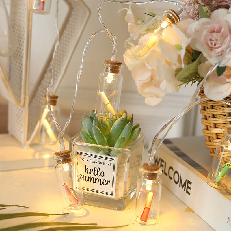 BowLift | Christmas LED Wishing Bottle Tree Snow Battery Box Decorative String Light