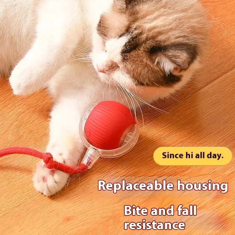 BowLift | Interactive Cat Toy Ball for Indoor Use