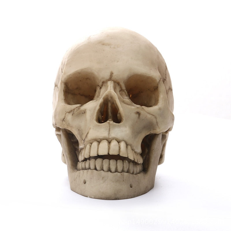 BowLift | 1:1 Human Head Skull Statue for Home Decor Resin Figures Halloween Decoration Sculpture Medical Teaching Sketch Model Craft