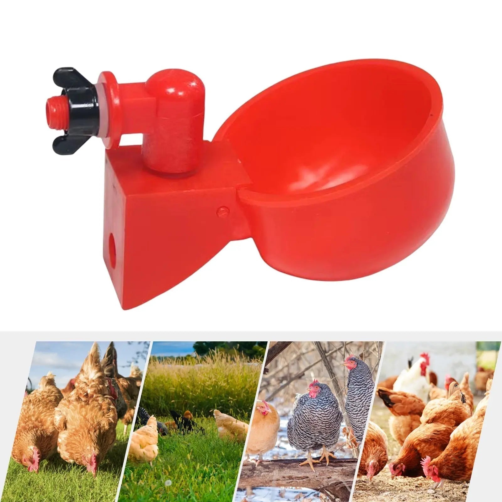 BowLift | 10 Piece Automatic Drinking Cups for Poultry – For Fresh Water Around the Clock