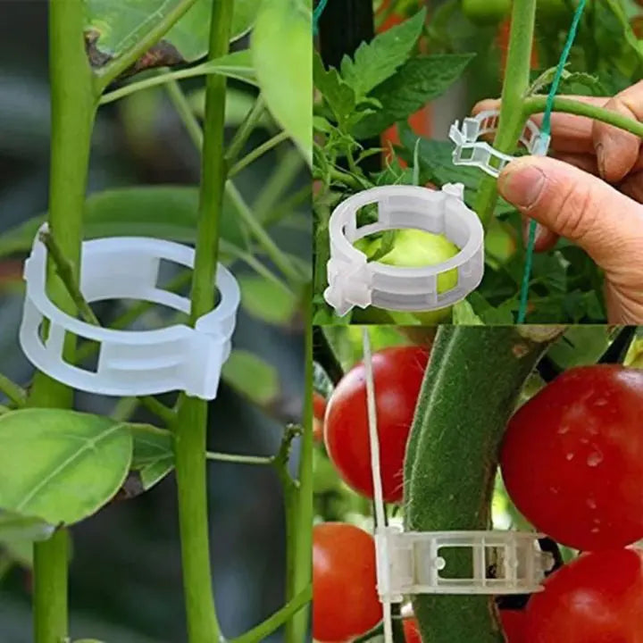 BowLift | 100 pcs. Plant support clips | Perfect hold for healthy plants