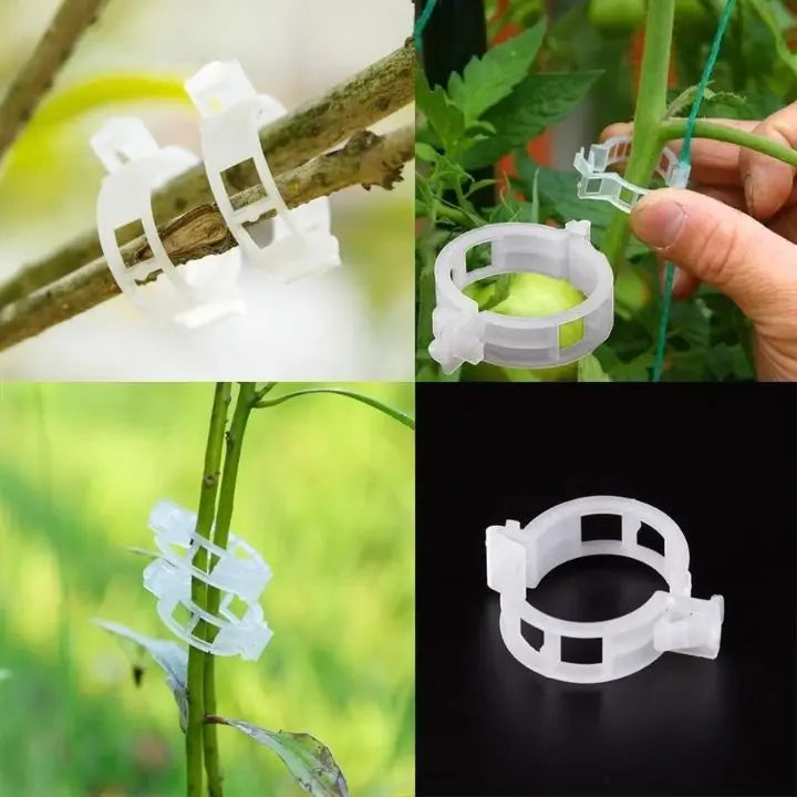 BowLift | 100 pcs. Plant support clips | Perfect hold for healthy plants