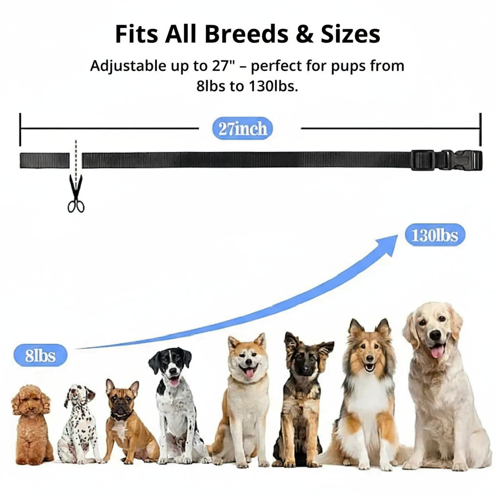 BowLift | 1000m Waterproof Dog Training Collar | IP67 Submersible Receiver | 100-Level Vibration & Static Pulse Modulation | 60-Day Lithium-Polymer Battery | High-Tensile Reflective Nylon