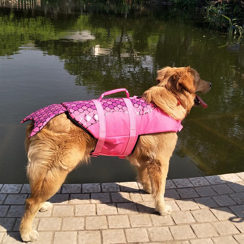 BowLift | Dog Swim Safety Jacket