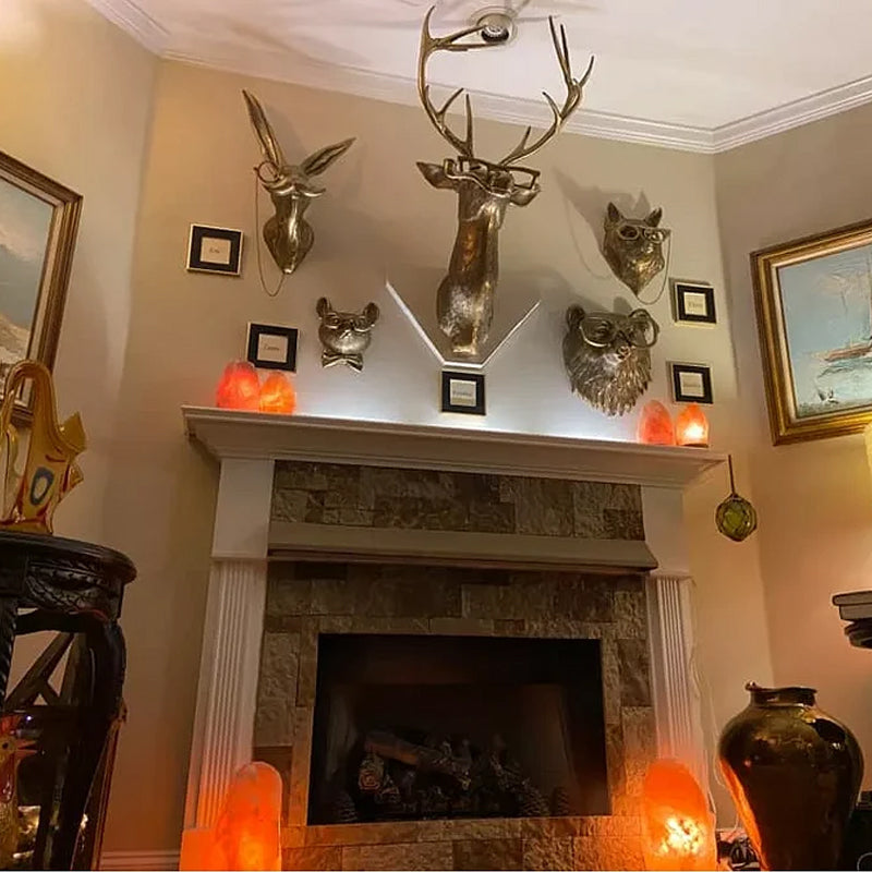 BowLift | Tierkopf Resin Pendant