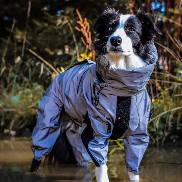 BowLift | Dog Rain Coat with Legs - Waterproof Dog Jacket for Small and Large Breeds | UK Cozy Winter Wear