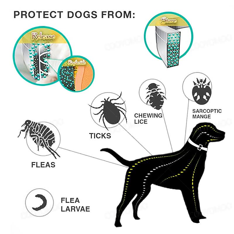 BowLift | PAWTECT - Anti-tick and flea collar