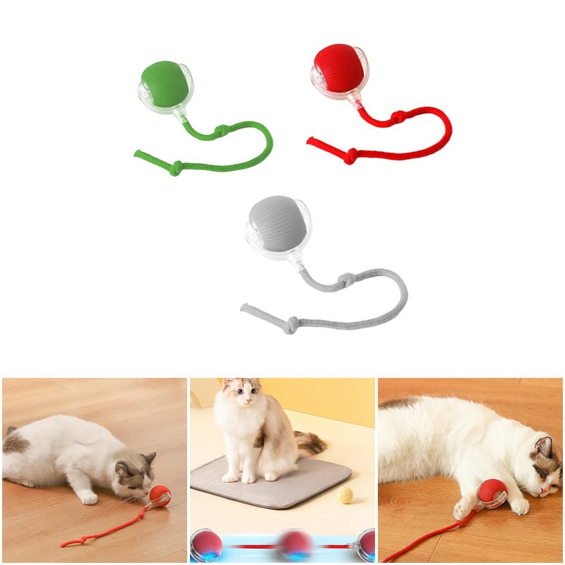 BowLift | Interactive Cat Toy Ball for Indoor Use