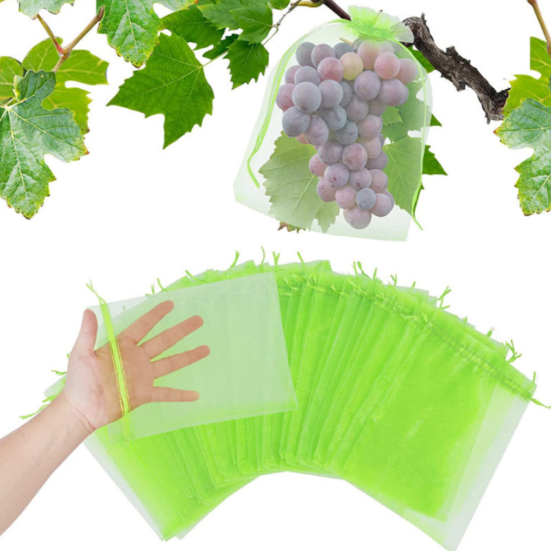 BowLift | Fruit Protection Bag (100 PCS)
