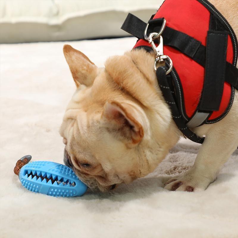 BowLift | Dog Toothbrush Toy