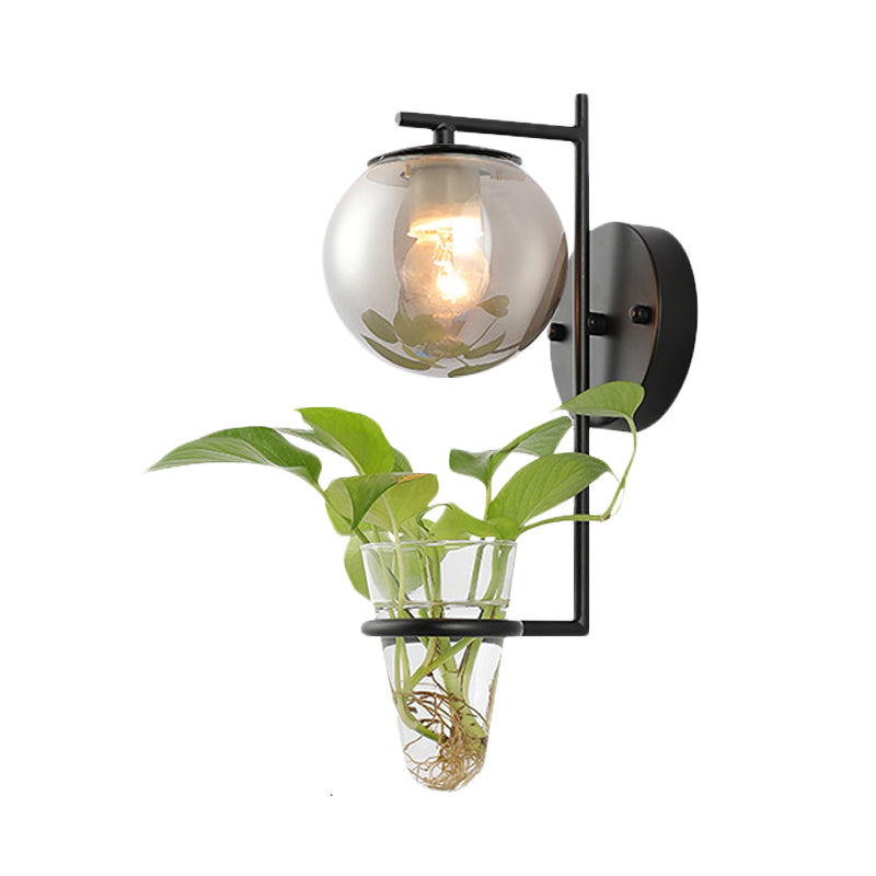 BowLift | Gold/Black Globe Wall Light Antique Cream/Smoke Grey Glass 1-Head Bedroom Wall Lamp with Clear Glass Plant Cup