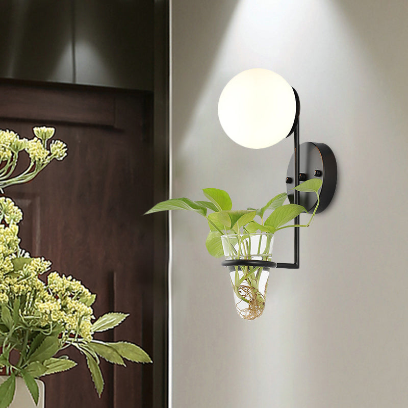 BowLift | 1 Bulb Wall Lamp Industrial Global Cream/Smoke Grey Glass Wall Light in Black/Gold with Clear Glass Plant Cup