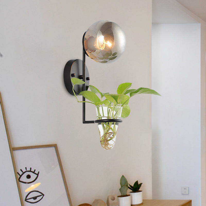 BowLift | 1 Bulb Wall Lamp Industrial Global Cream/Smoke Grey Glass Wall Light in Black/Gold with Clear Glass Plant Cup