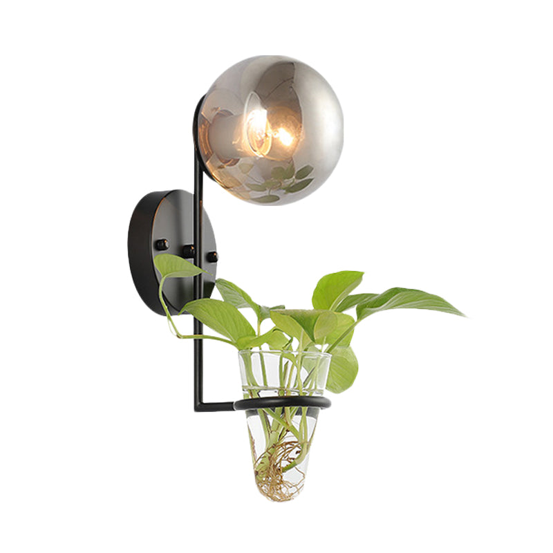 BowLift | 1 Bulb Wall Lamp Industrial Global Cream/Smoke Grey Glass Wall Light in Black/Gold with Clear Glass Plant Cup