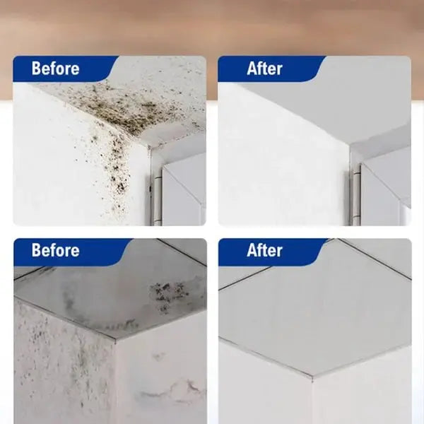 BowLift | High-Performance Anti-Mold Foam Spray – Deep Cleaning & PRedection