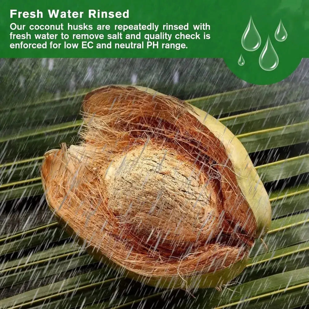 BowLift | | Premium Organic Coconut Soil Brick – Promote Natural Plant Growth