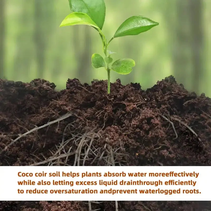 BowLift | | Premium Organic Coconut Soil Brick – Promote Natural Plant Growth