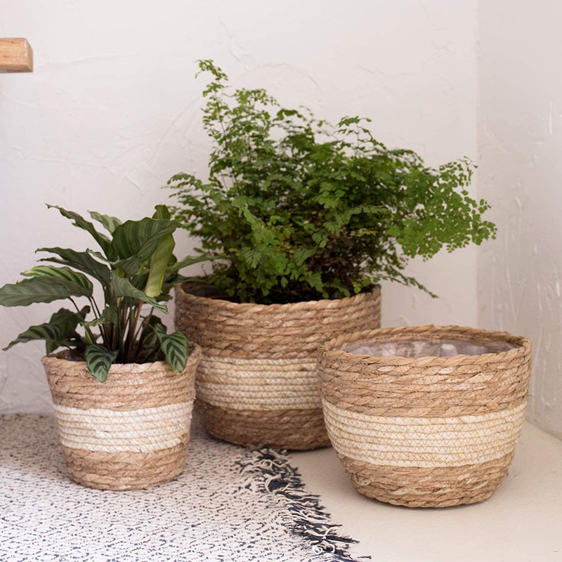BowLift | Decorative plant baskets made of seagrass in a set of 3 – Handwoven flower pots with foil insert