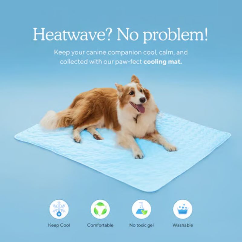 BowLift | Cooling Mat for Dogs (4x More Effective)