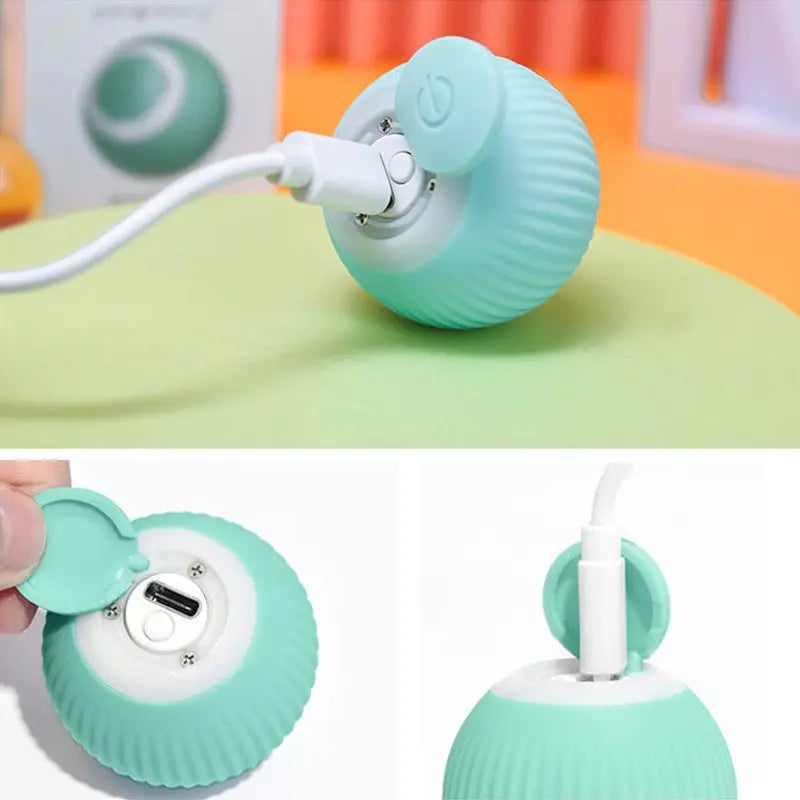 BowLift | 2-in-1 Interactive Hunting Toy for Pets