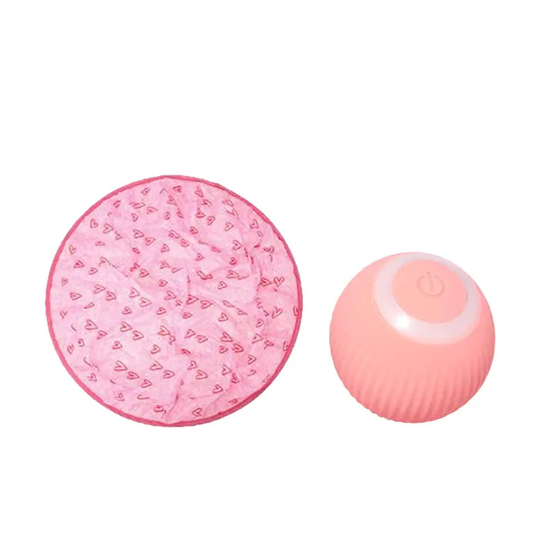 BowLift | 2-in-1 Interactive Hunting Toy for Pets