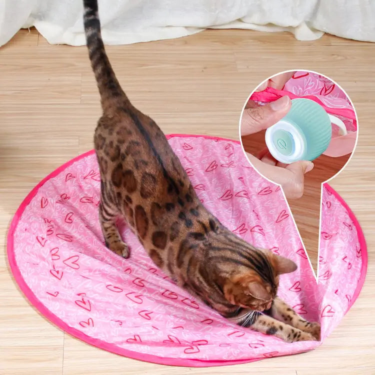 BowLift | 2-in-1 Hunting Toy for Cats – Promotes Hunting Instinct & Movement