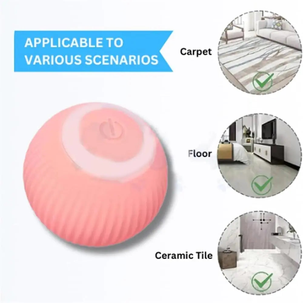 BowLift | 2-in-1 Hunting Toy for Cats – Promotes Hunting Instinct & Movement