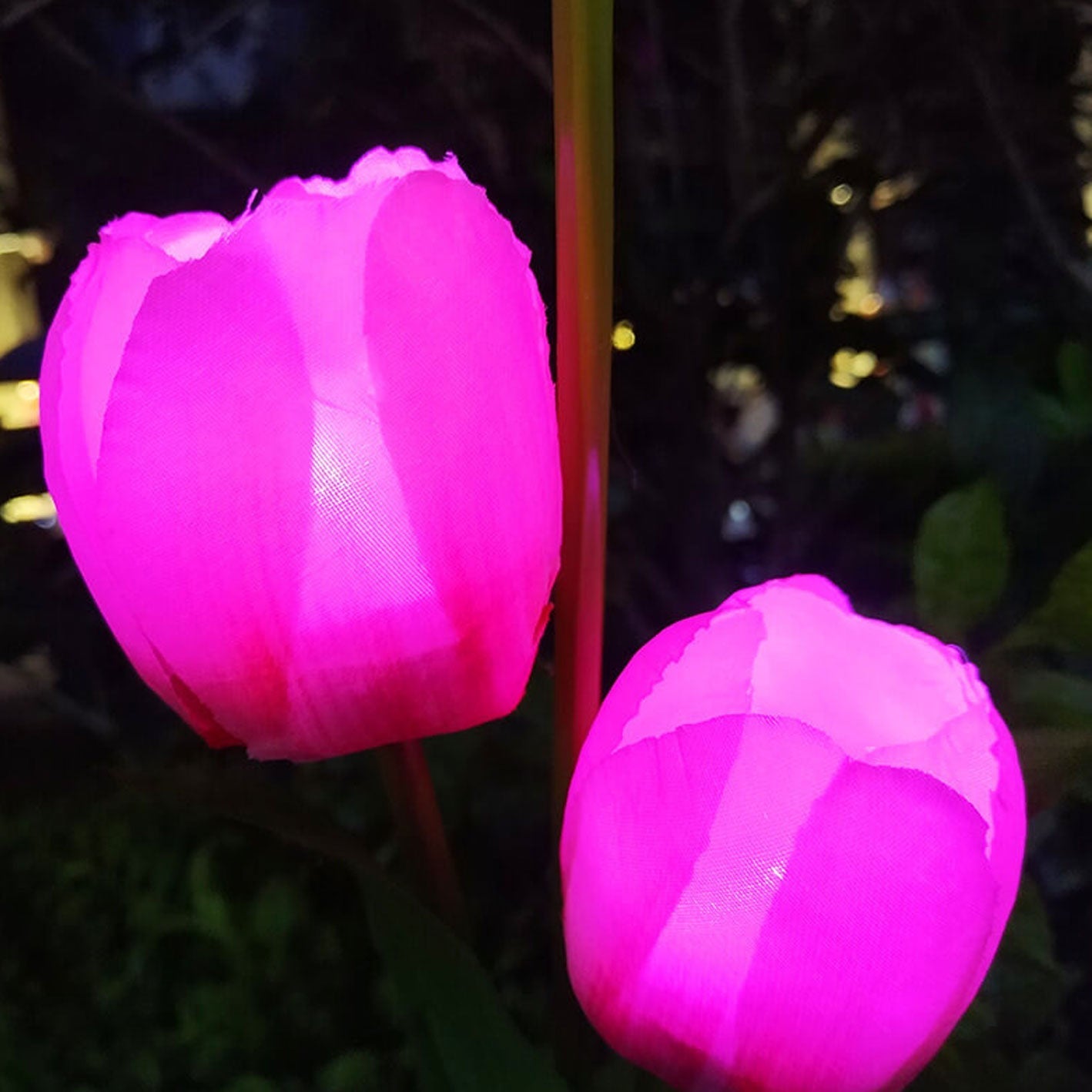 BowLift | Solar Tulip Lawn Light Outdoor Garden LED Tulip Flower Light Ground Stake Landscape Light