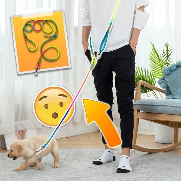 BowLift | Hands Free Dog Leashes