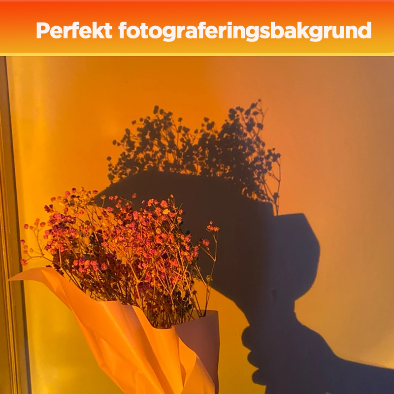 BowLift | Projection Floor Lamp