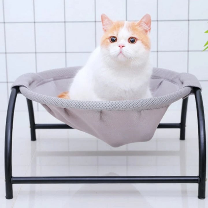 BowLift | Floor Cat Hammock-With Stand