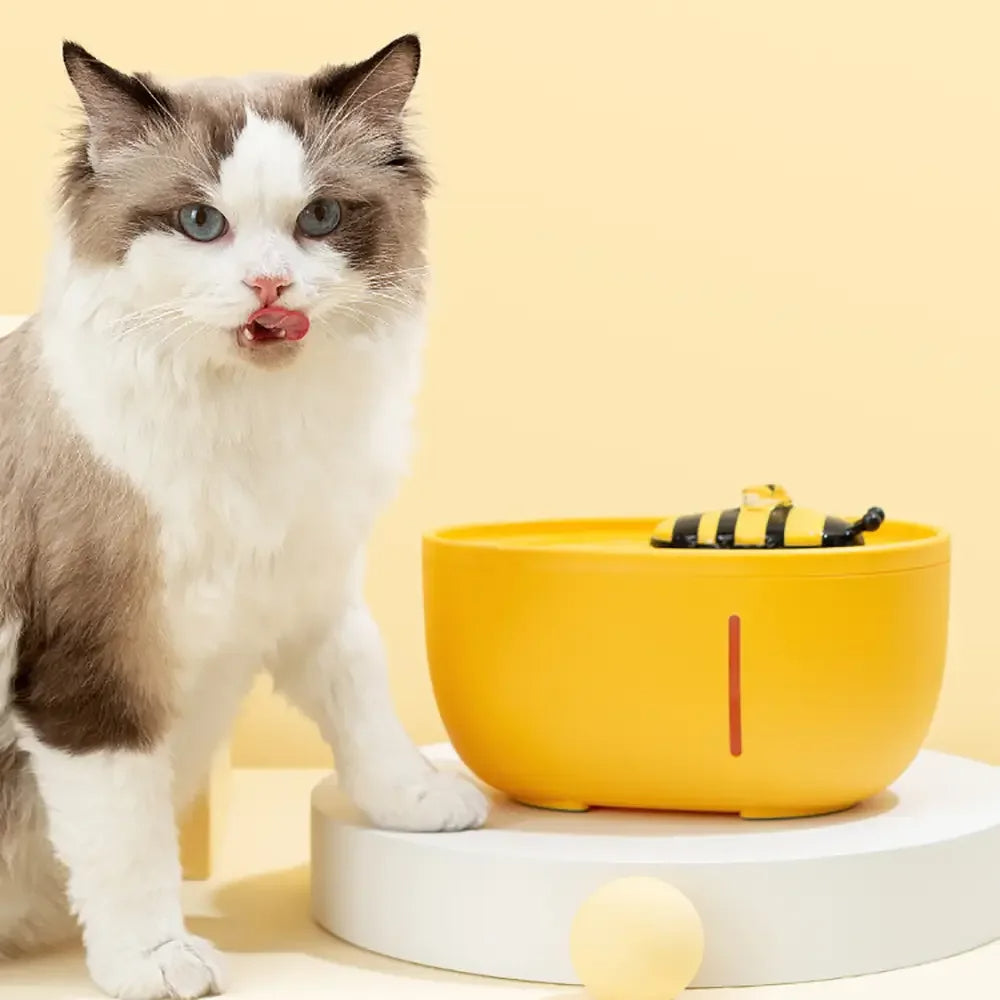 BowLift | Fresh and clean water available at any time!