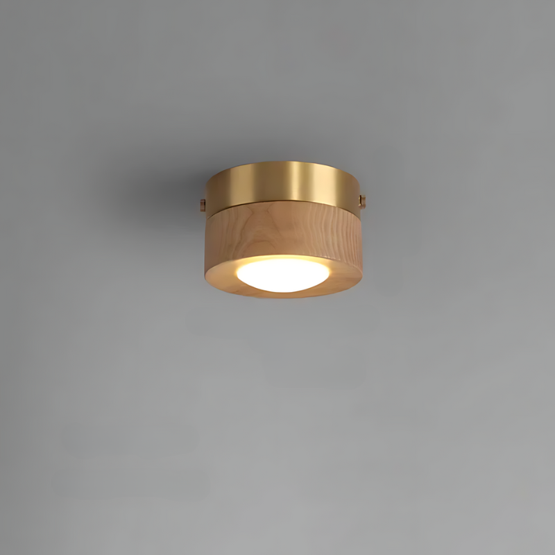 BowLift | Walnut ceiling lamp with LED spotlight
