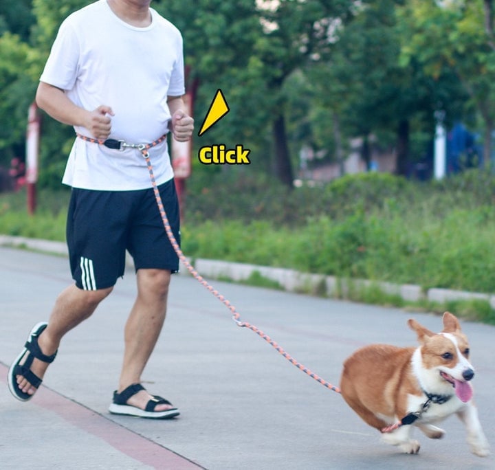 BowLift | Hands Free Dog Leashes