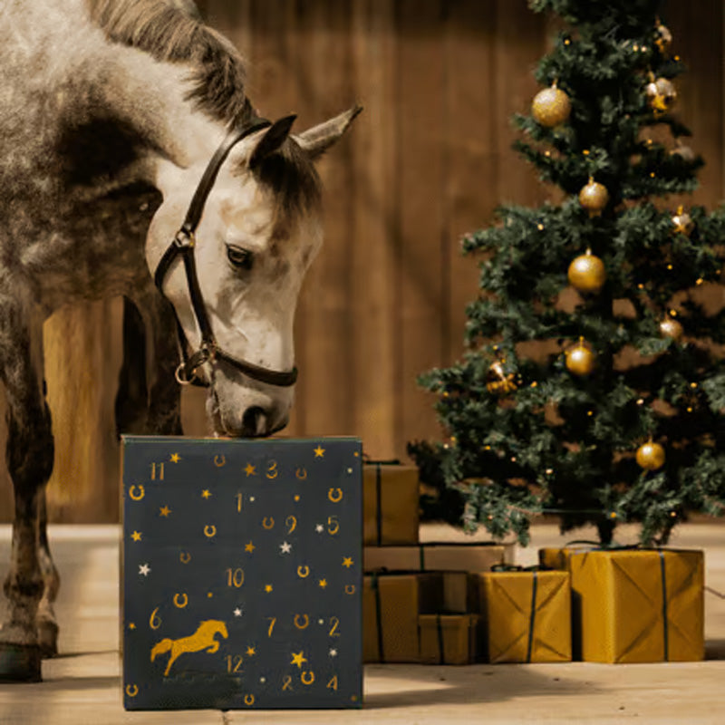 BowLift | Forelock and Fringe Advent Calendar 2024