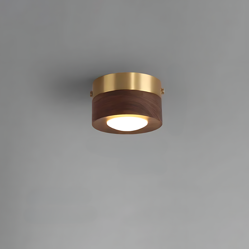 BowLift | | Walnut ceiling lamp with LED spotlight