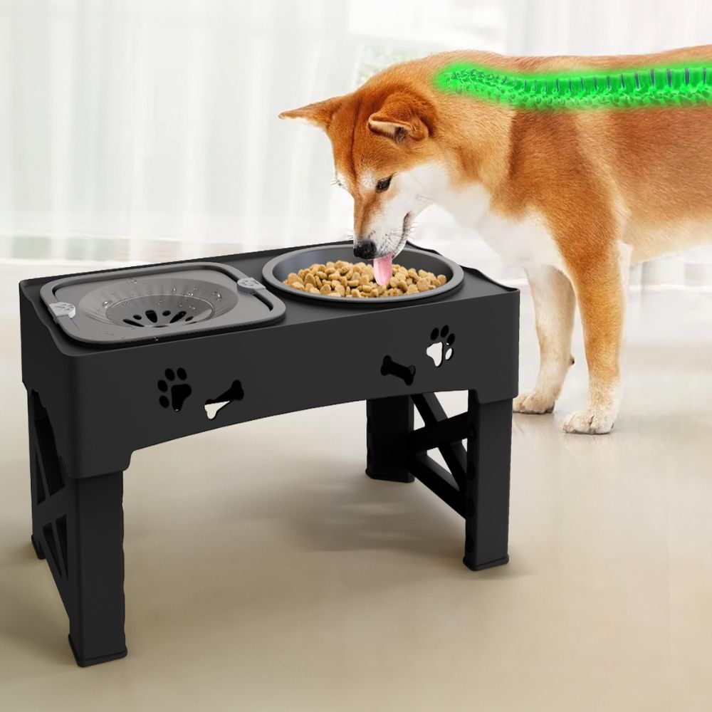BowLift | Dog Bowl Raised Adjustable Slow Feeder Stand