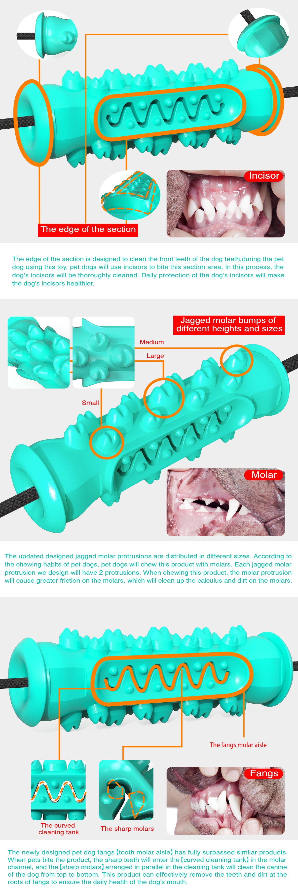 Dog Serrated Chew Toy / Dumbbell Style B / For Dogs