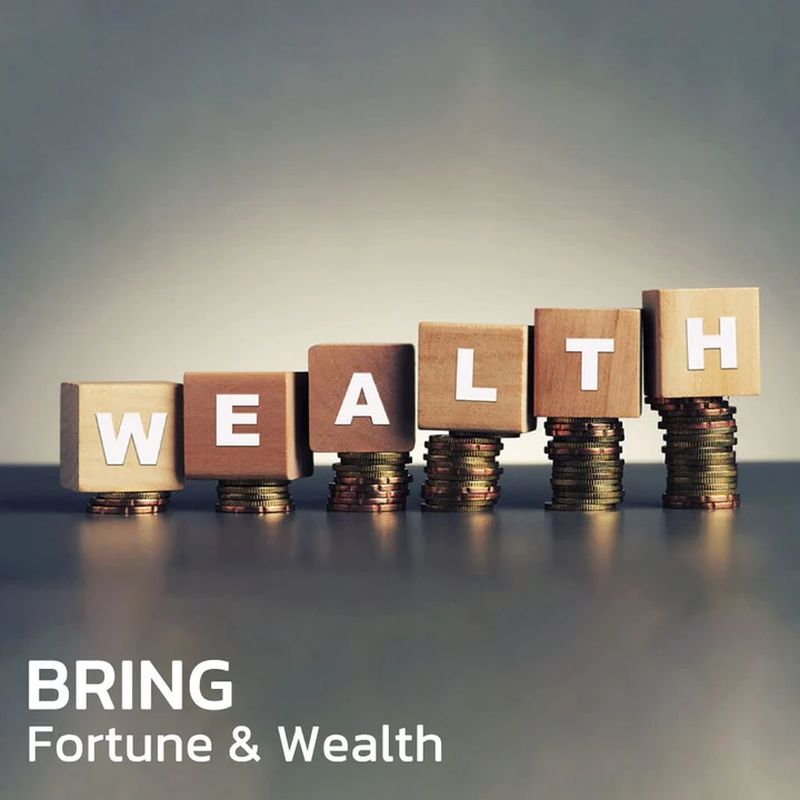 BowLift | FengShui Pi Xiu Amethyst Bracelet