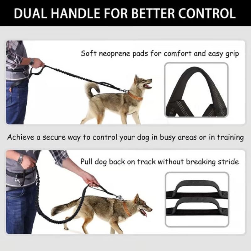 BowLift | Hands Free Dog Leash with Zipper Bag