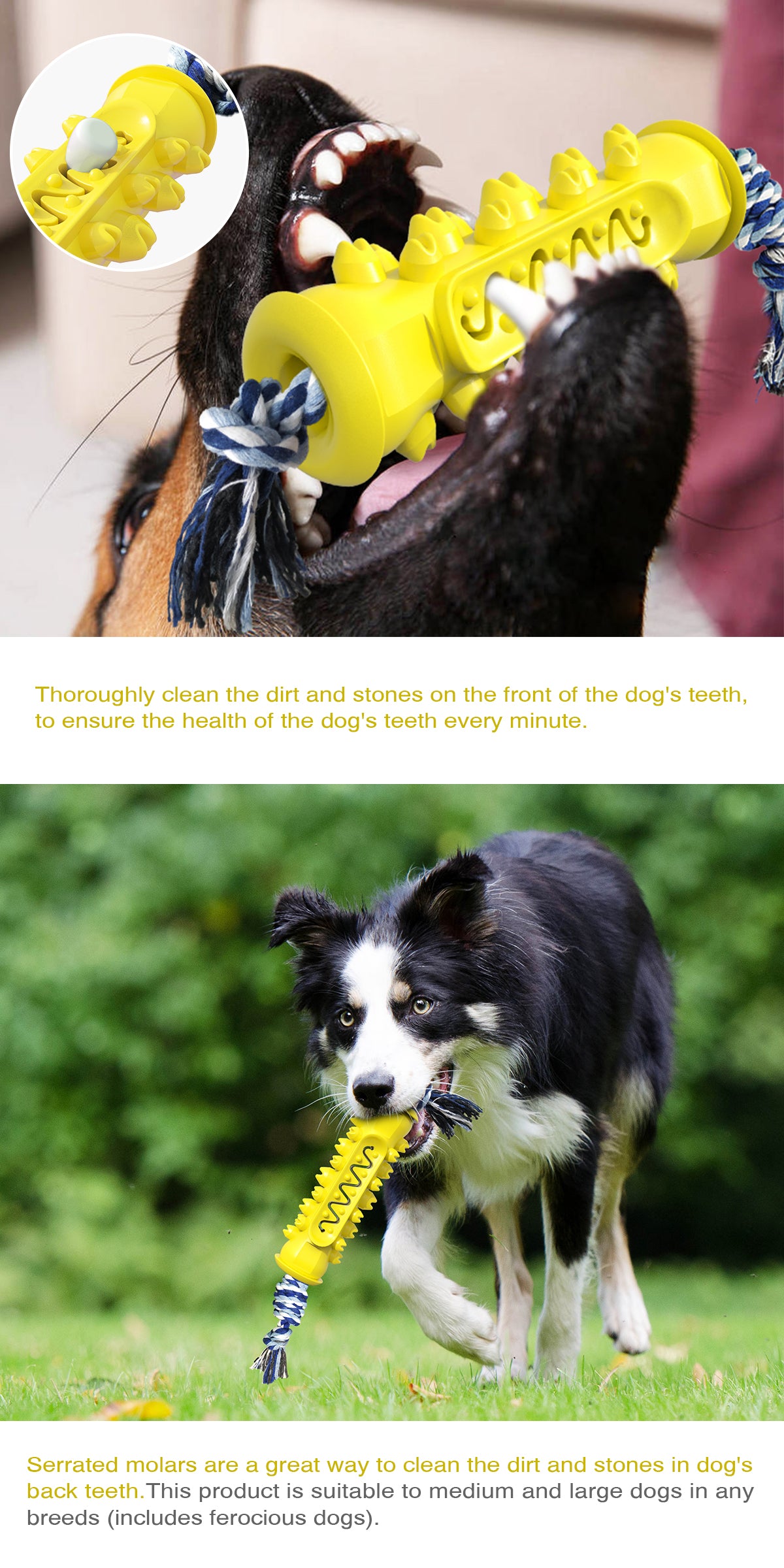 Serrated Chew Stick with Rope Toy for Dogs