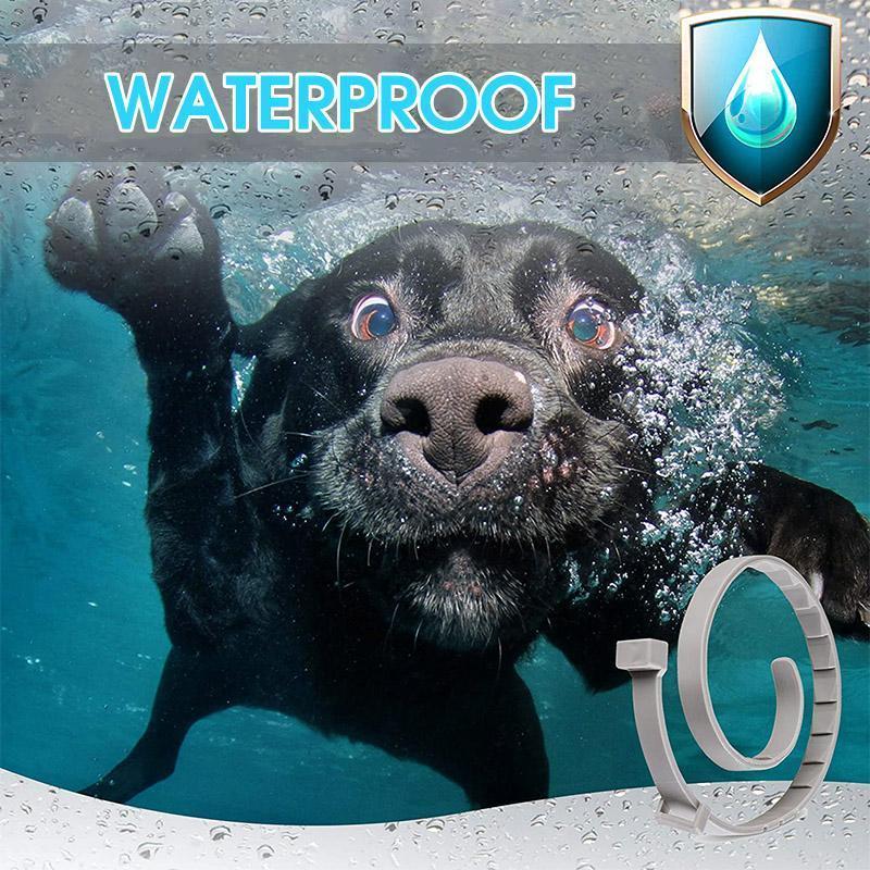 BowLift | Adjustable Insect Defense Collar for Pets