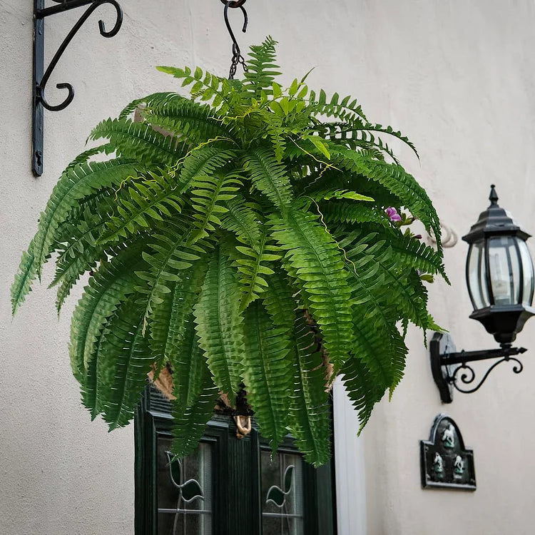 BowLift | UV-resistant, lifelike artificial Boston fern