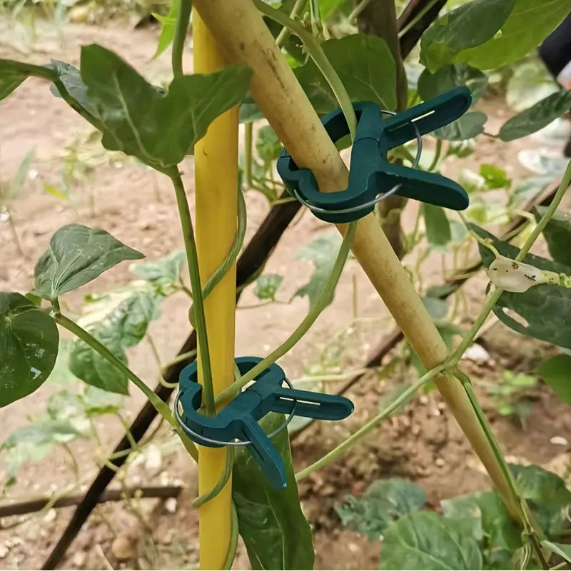 BowLift | Garden clip set – plant loops for plant supports and garden care