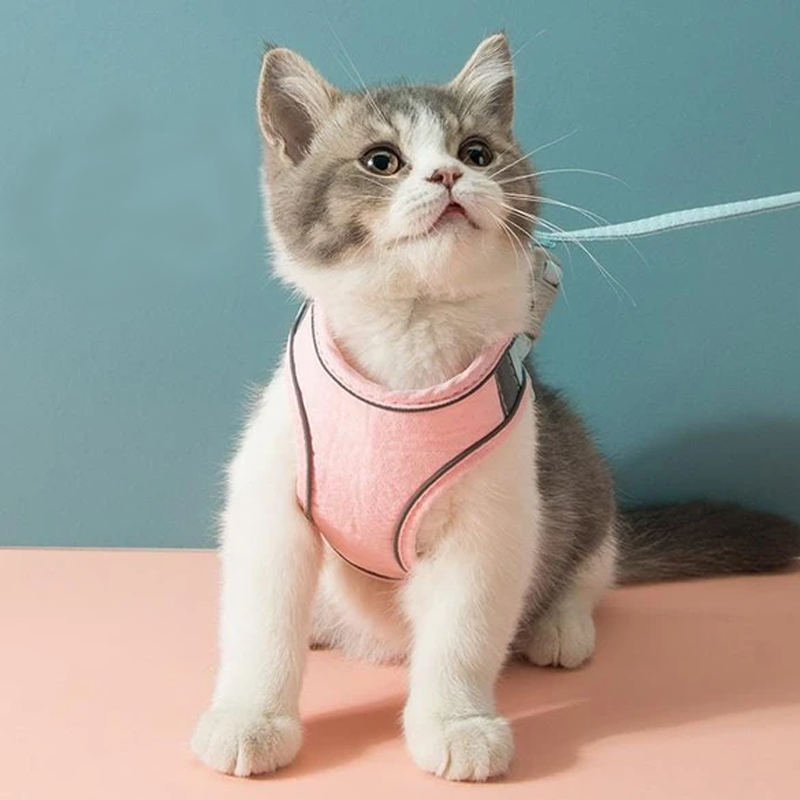 BowLift | Cat Vest Harness and Leash Set