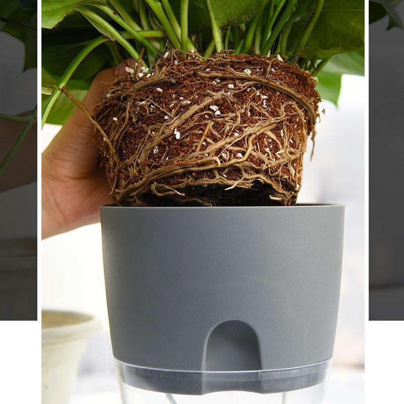 BowLift | Self-watering Hydro-Flower Pot