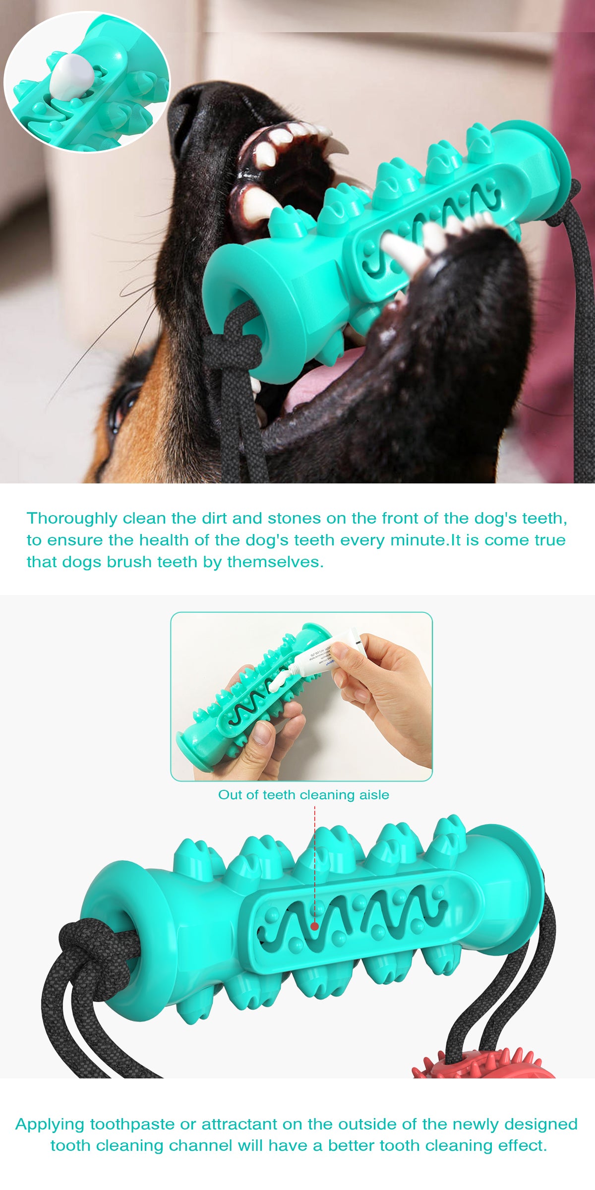 Dog Serrated Chew Toy / Dumbbell Style A / For Dogs